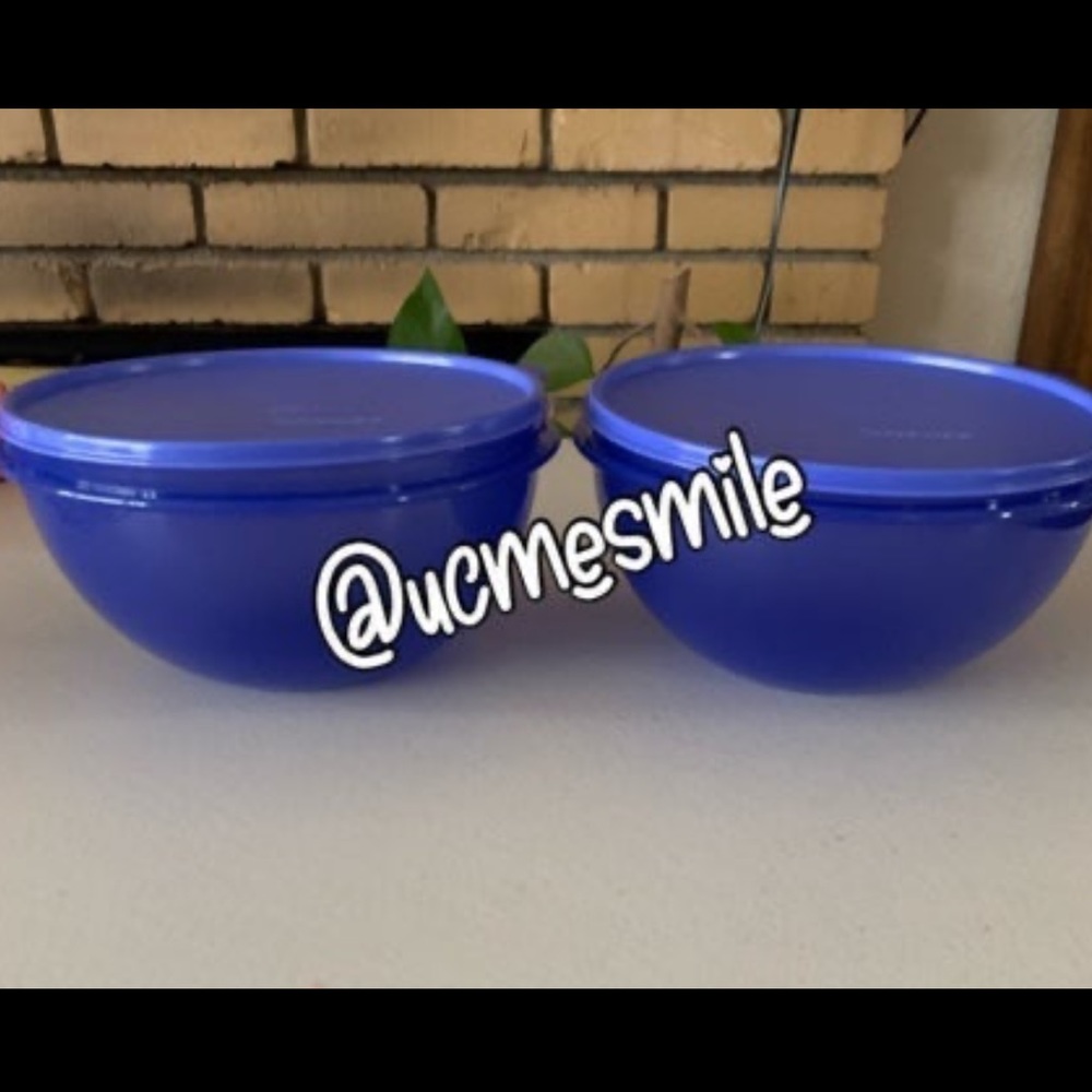 Tupperware Beautiful Wonderlier Mixing Nesting Bowls